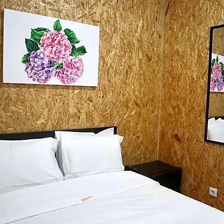 Auberge de jeunesse Boutique Amadora